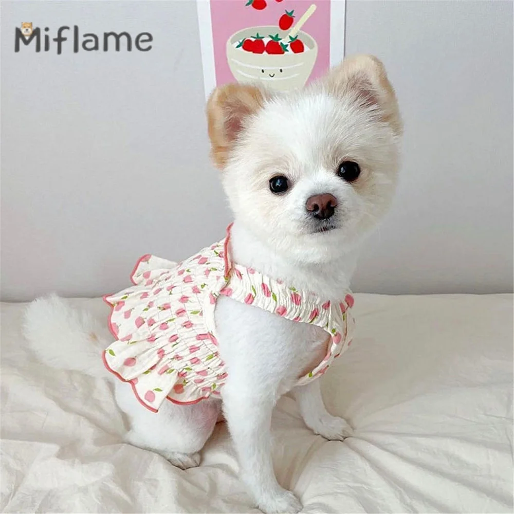 

Miflame Spring Summer Thin Small Dogs Clothing Fruit Print Pet Skirt Casual Cat Dog Dress Bichon Poodle Yorkies Princess Skirt