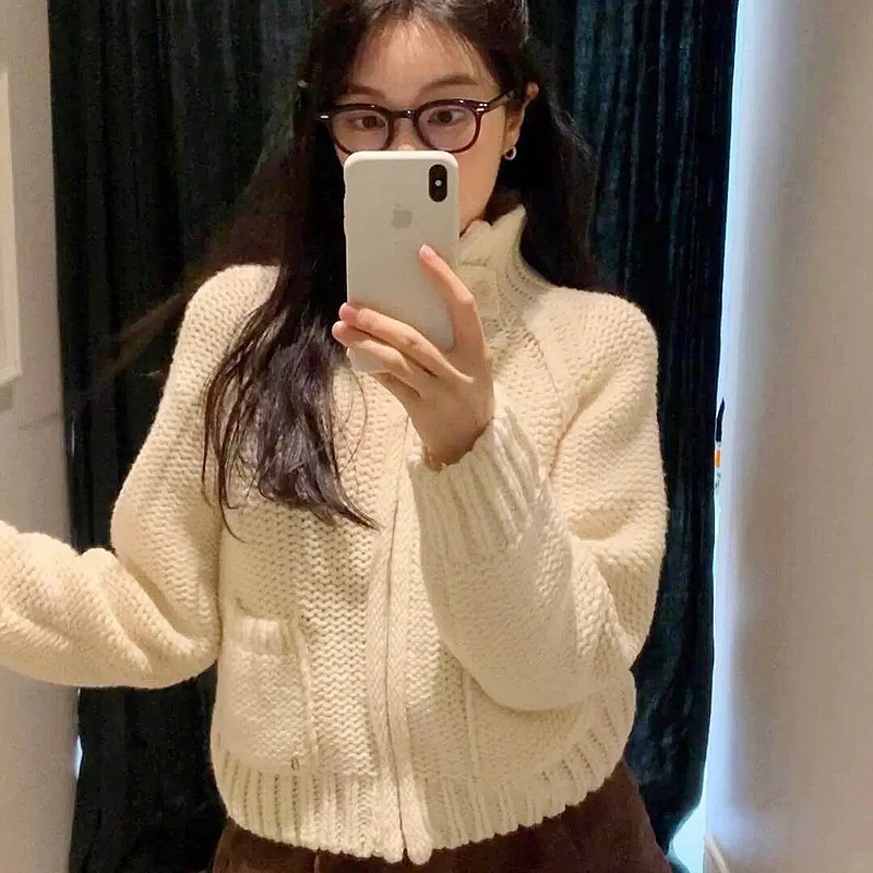 New Autumn and Winter Loose Lapel Zipper Knitted Cardigan Sweater Solid Color Women Jacket
New Autumn and Winter Loose Lapel Zipper Knitted Cardigan Sweater Solid Color Women Jacket
