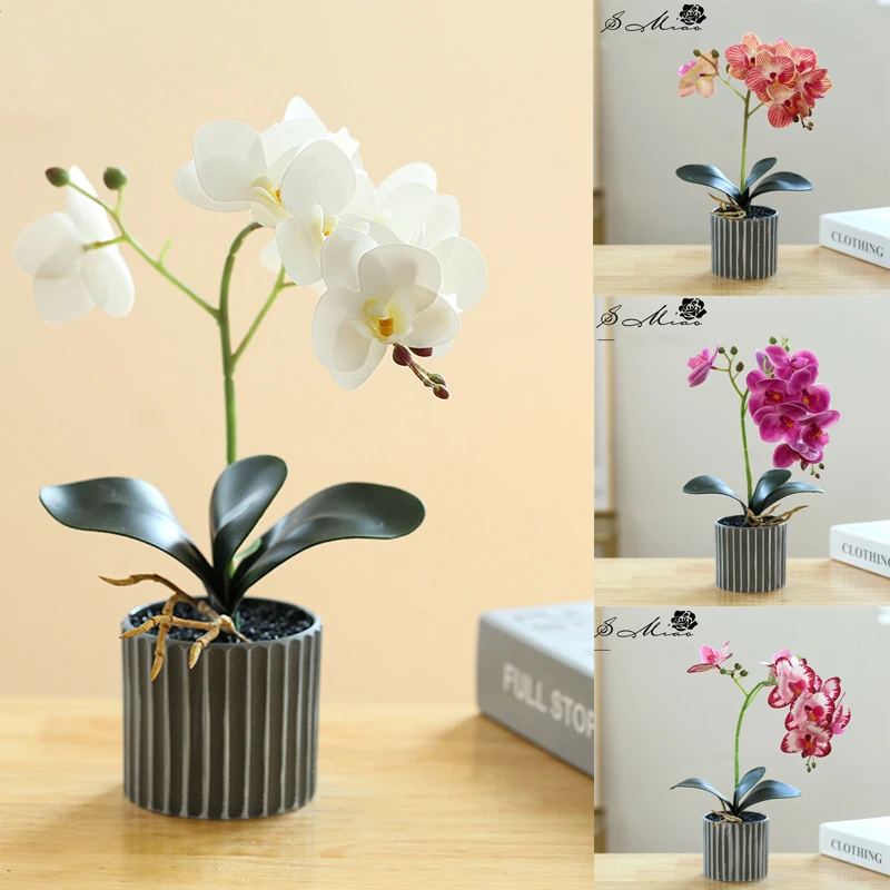 Artificial Phalaenopsis Potted Bonsai Fake Orchid with Leaf Potted Plant Wedding Flower Arrangement Props Home Interior Deccor
Artificial Phalaenopsis Potted Bonsai Fake Orchid with Leaf Potted Plant Wedding Flower Arrangement Props Home Interior Deccor