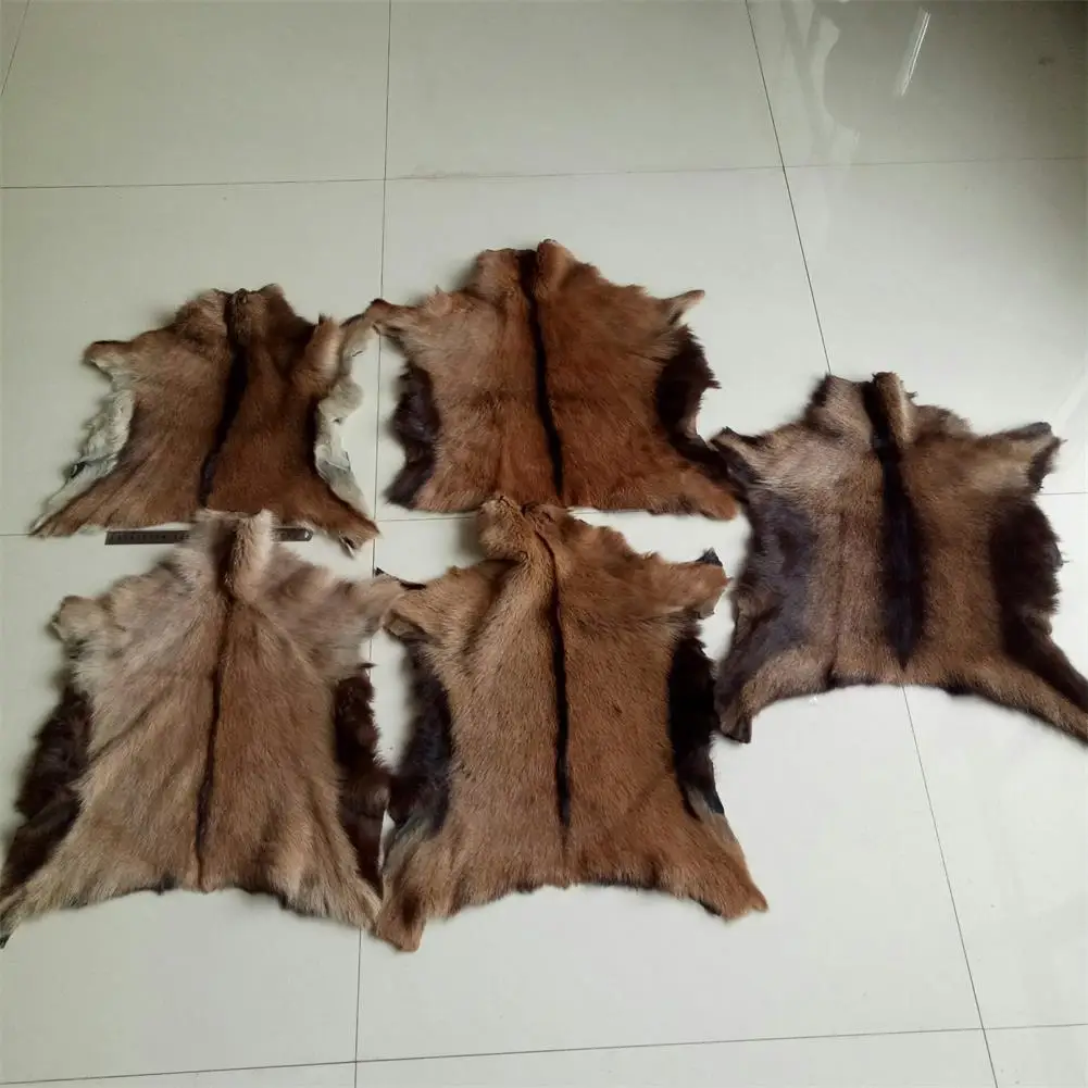 Natural Tanned Sheep Skin Antelope Fur Pelt for Home Decor, Goat Hide Rug, Clothing Bag Accessory, 5 Pieces 
Natural Tanned Sheep Skin Antelope Fur Pelt for Home Decor, Goat Hide Rug, Clothing Bag Accessory, 5 Pieces