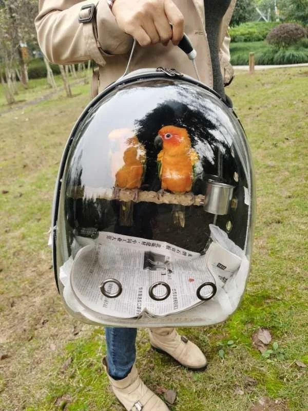 Sbb7024050e5d4c7d8ce51913f0105f7al