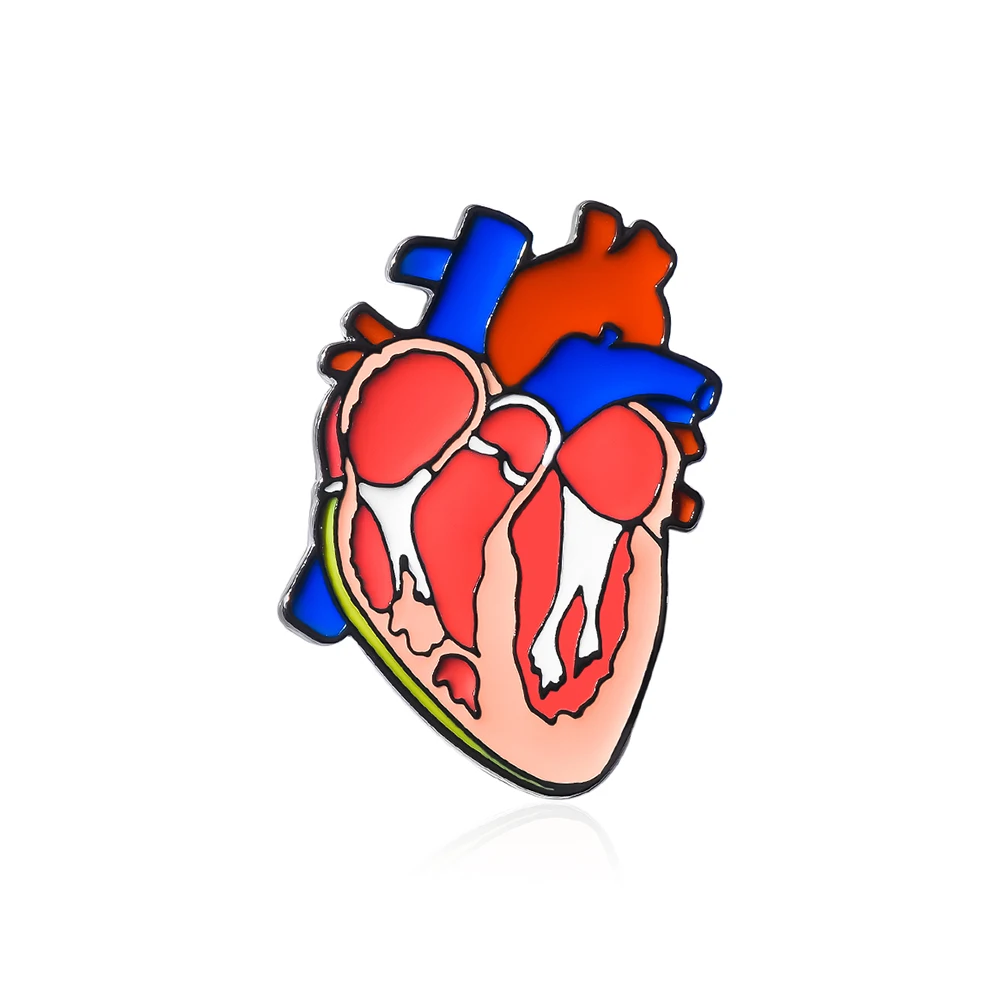 Human Organs Heart Anatomy Diagram Enamel Pin Brooch Hospital Cardiology Badge Jewelry Lapel Hat Medical Biology Souvenir Gift
Human Organs Heart Anatomy Diagram Enamel Pin Brooch Hospital Cardiology Badge Jewelry Lapel Hat Medical Biology Souvenir Gift