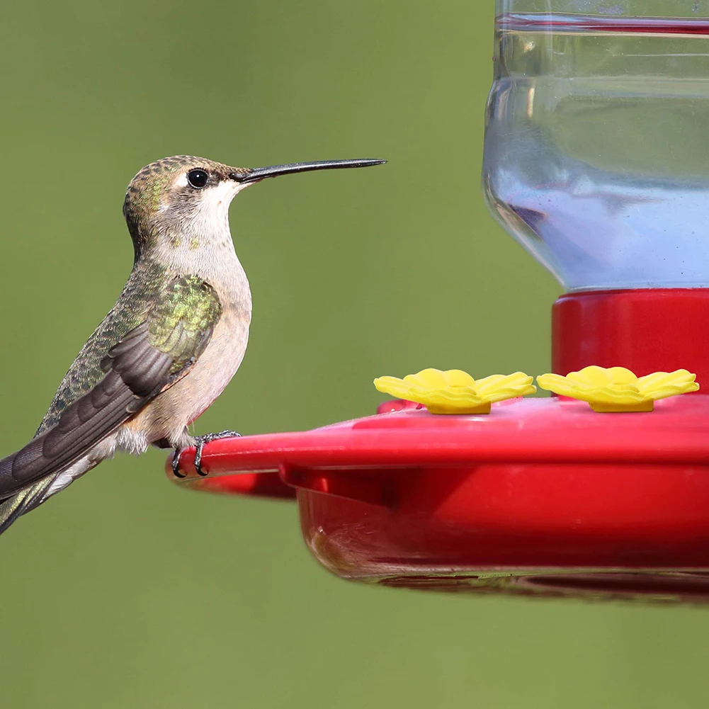 Practical High Quality New Hummingbird Feeder Hanging Feeders Home Replacement Tool 7.8x3x5cm Adapter Assembly
Practical High Quality New Hummingbird Feeder Hanging Feeders Home Replacement Tool 7.8x3x5cm Adapter Assembly