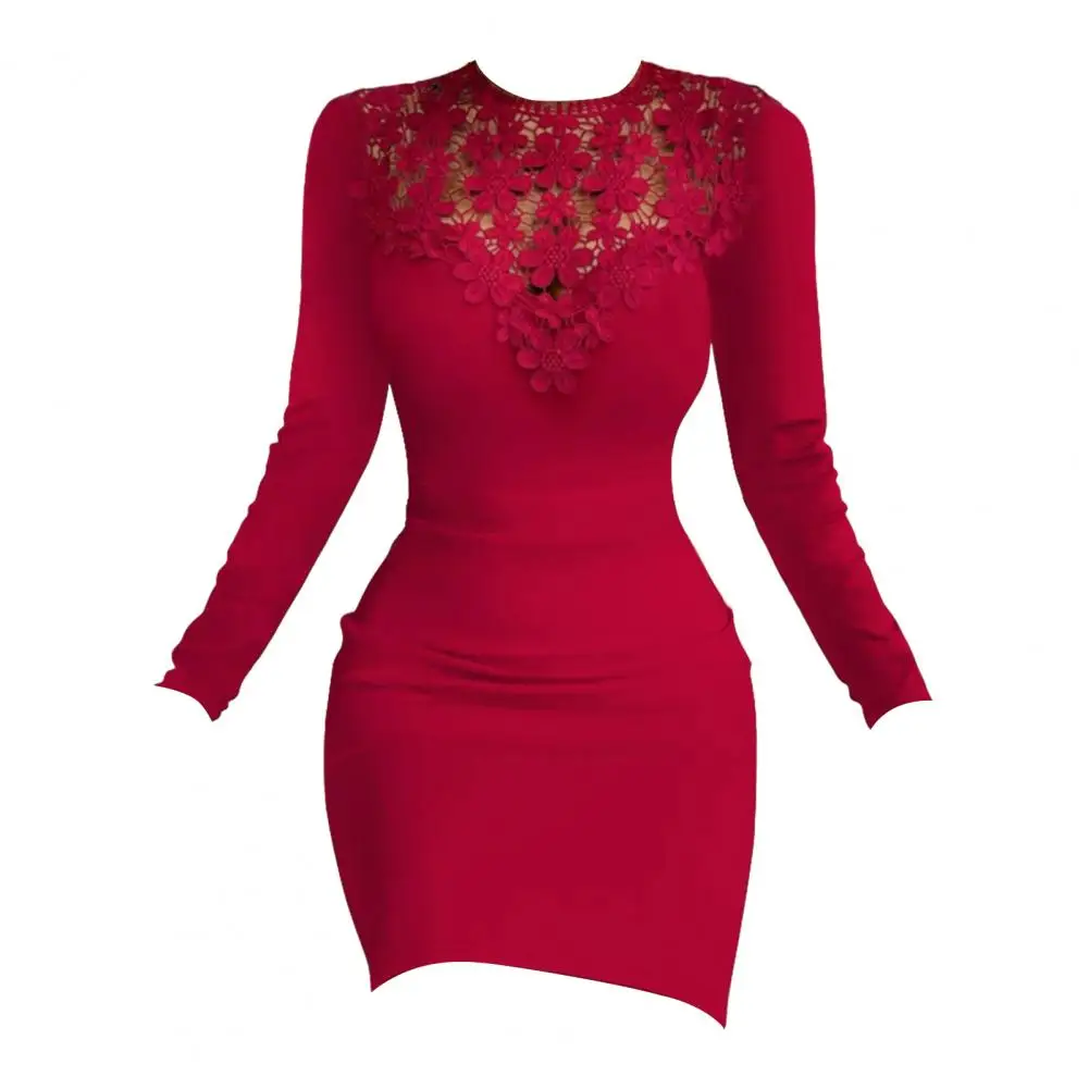 

Autumn Winter Dress Elegant Lace Mini Dress for Women Slim Fit Sheath with Long Sleeve O Neck Soft Tight Waist Above Knee Length