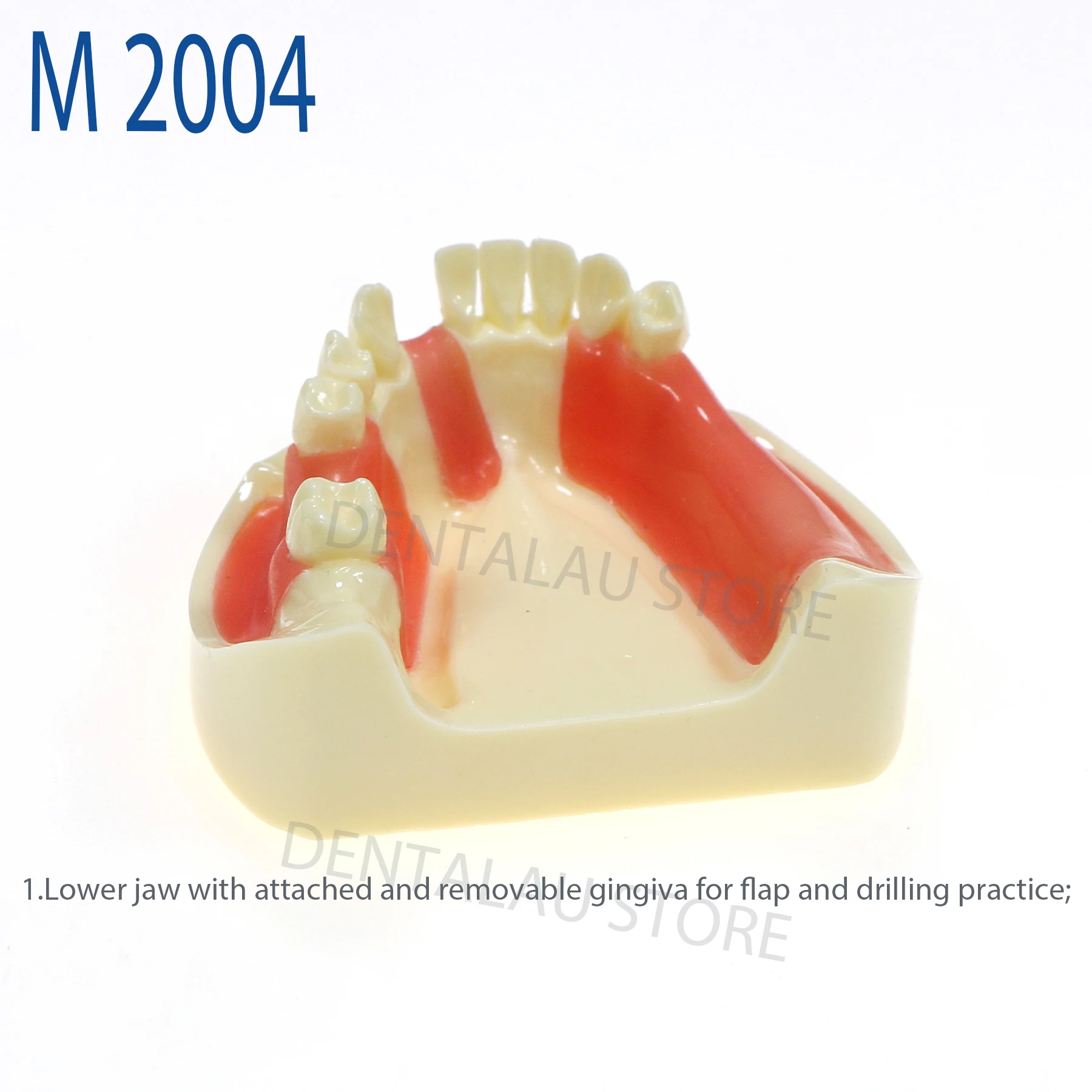 Dental M2004 practical Teeth Model Implant Practice Lower Jaw Gingiva Removable teeth
Dental M2004 practical Teeth Model Implant Practice Lower Jaw Gingiva Removable teeth