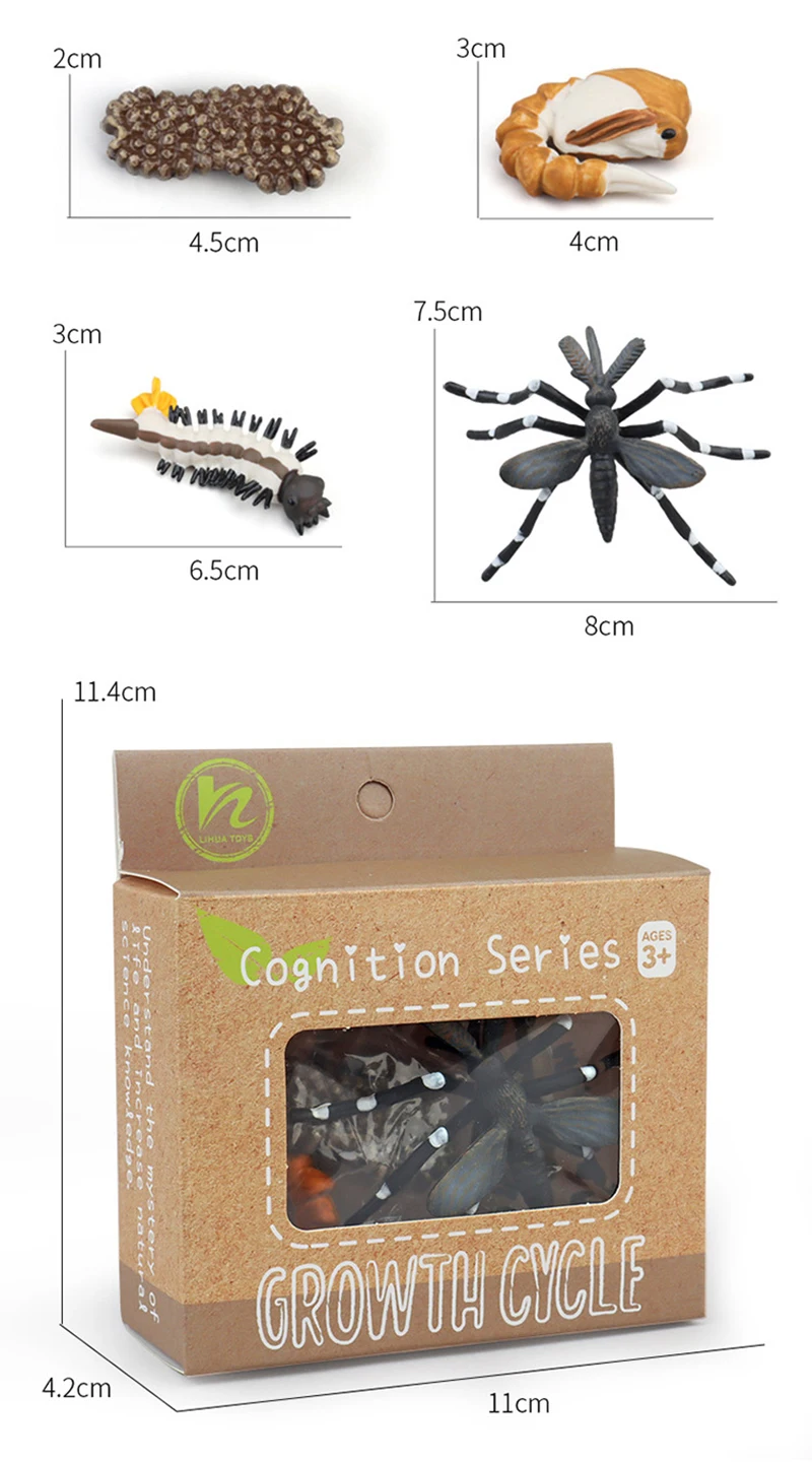 Tierlebenszyklus Kinderspielzeug Simulation Pflanzenmodell Montessori Lehrmittel Tierwachstumszyklus Modell Set Kognitives Spielzeug Tierlebenszyklus Kinderspielzeug Simulation Pflanzenmodell Montessori Lehrmittel Tierwachstumszyklus Modell Set Kognitives Spielzeug