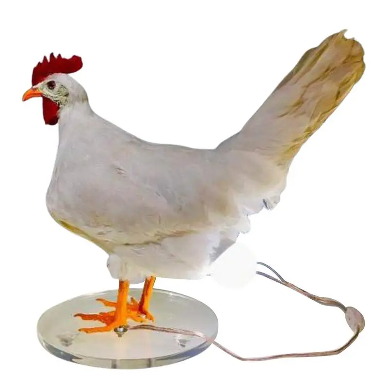 

Chicken Egg Night Light Resin Rooster Table Lamp Chicken Lamp With Egg In Butt Easter Hen Laying Lights 3D Decorative Egg Lamp