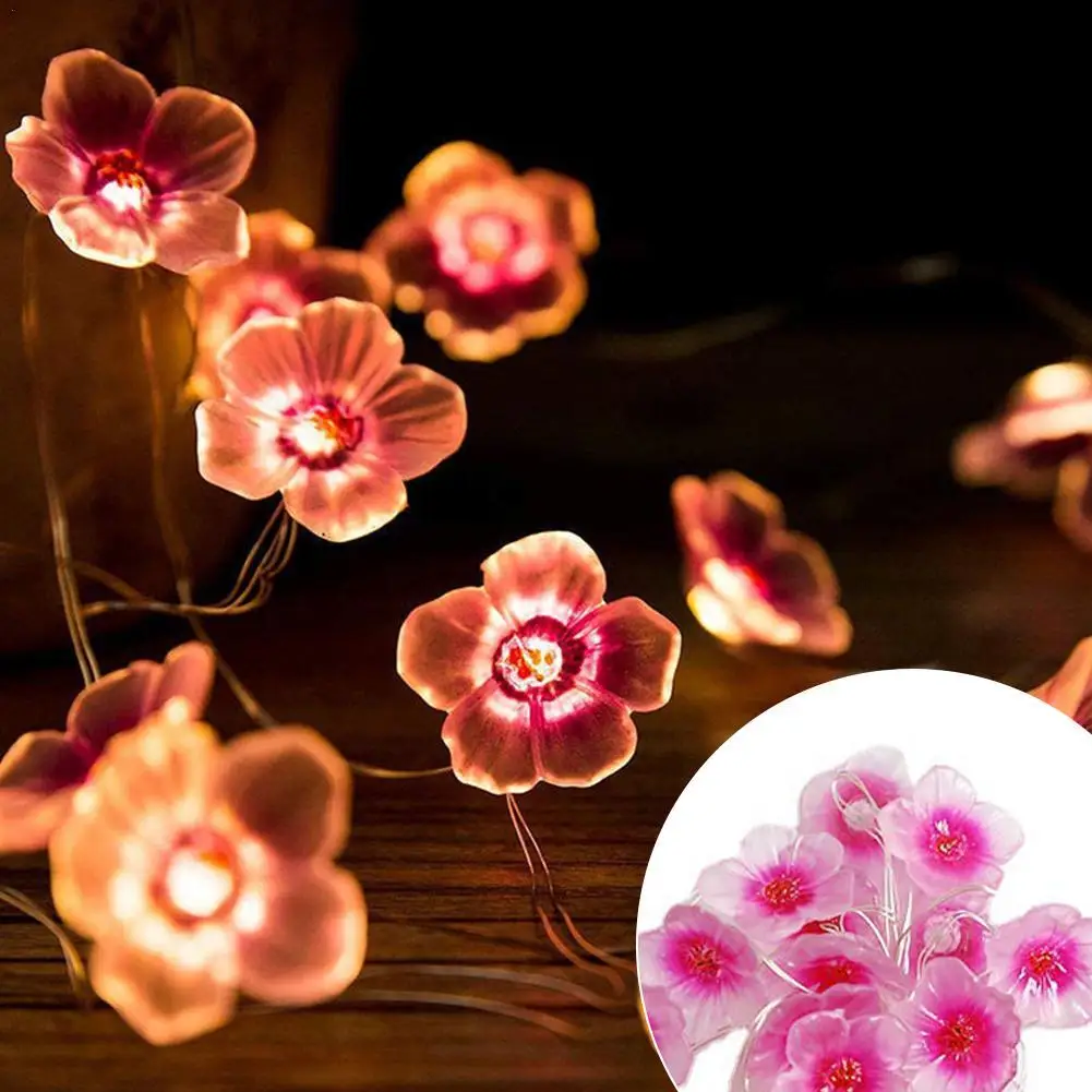 Blossom Fairy String Lights Pink Flower String Lamps Battery Powered For Outdoor Christmas Garland Decoration
Blossom Fairy String Lights Pink Flower String Lamps Battery Powered For Outdoor Christmas Garland Decoration