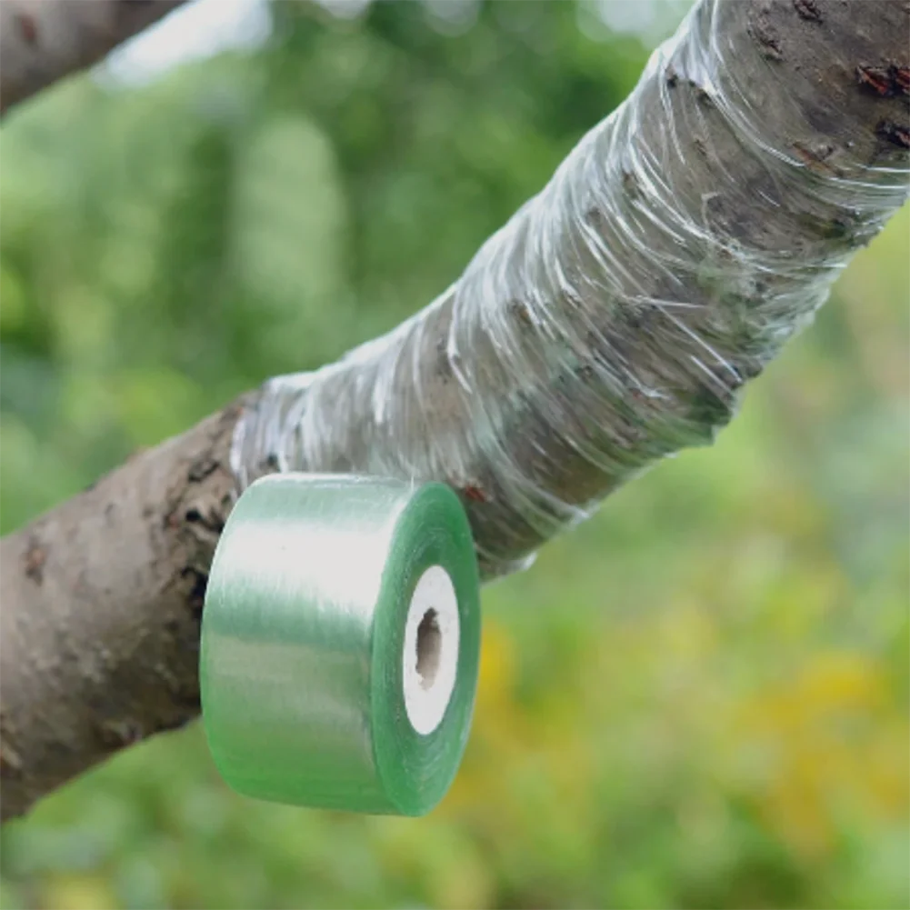 1Rol 100mm Tape Seedle Garden Graft Budding Plant Floristry Pruning Repair Strecth Pruner Moisture Barrier Fruit Tree
1Rol 100mm Tape Seedle Garden Graft Budding Plant Floristry Pruning Repair Strecth Pruner Moisture Barrier Fruit Tree