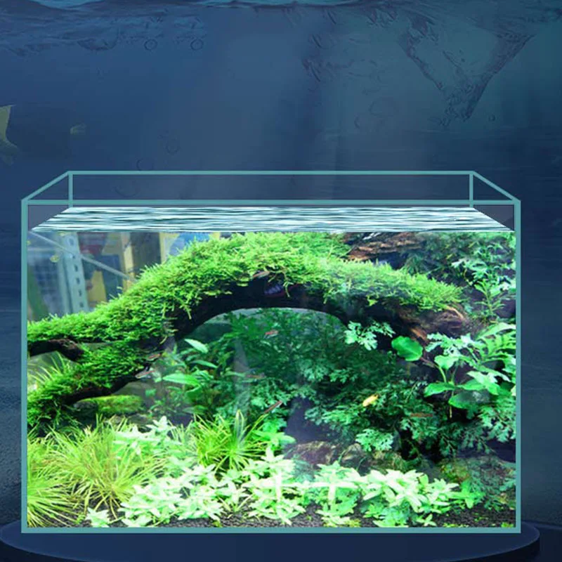 Bonsai Aquarium Tanks Live Fish Turtle Marine Beta Desktop Glass Jellyfish Ecologie Acuario Accesorio Fish Aquarium Decoration
Bonsai Aquarium Tanks Live Fish Turtle Marine Beta Desktop Glass Jellyfish Ecologie Acuario Accesorio Fish Aquarium Decoration