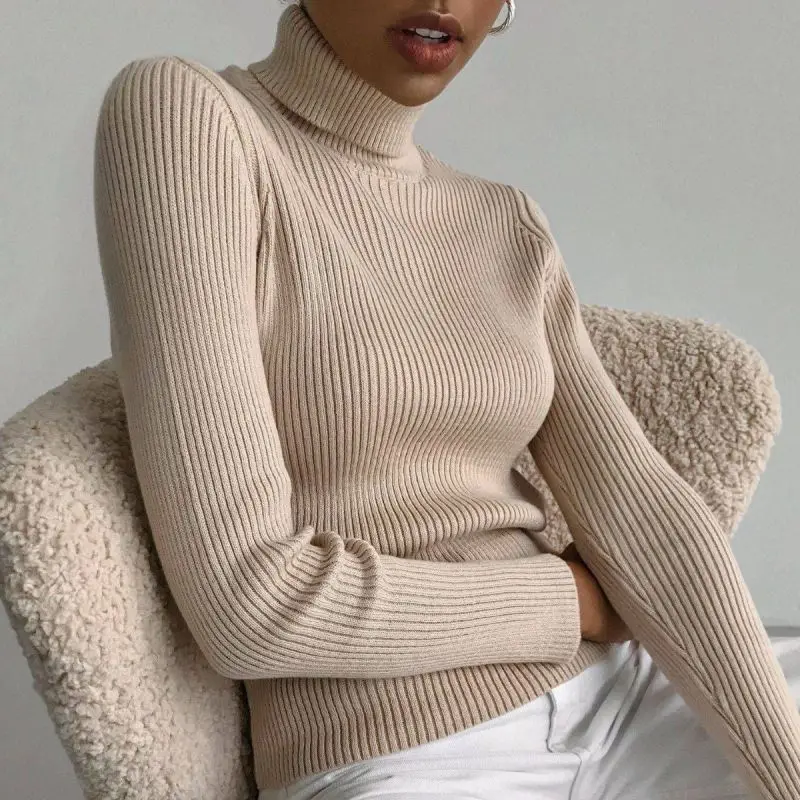 High Neck Pullover Sweater Women Knitted Inner Sweater Warm Vertical Stripe Solid Color Top Women
High Neck Pullover Sweater Women Knitted Inner Sweater Warm Vertical Stripe Solid Color Top Women