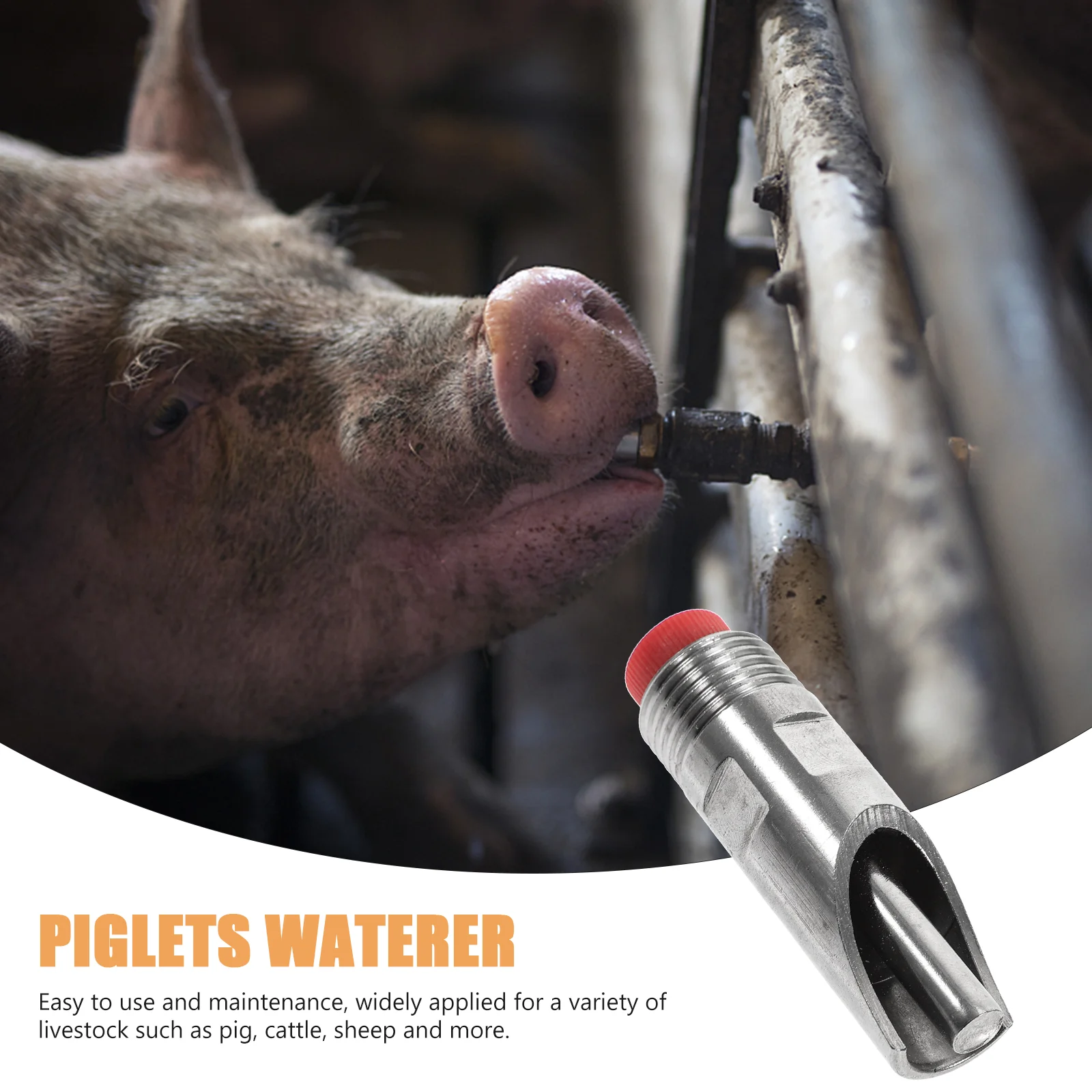 Small Multi-purposes Pigs Drinking Nozzle Piglets Water Feeder Piglets Waterer Automatic Pigs Waterer Pigs Drinking Tools
Small Multi-purposes Pigs Drinking Nozzle Piglets Water Feeder Piglets Waterer Automatic Pigs Waterer Pigs Drinking Tools