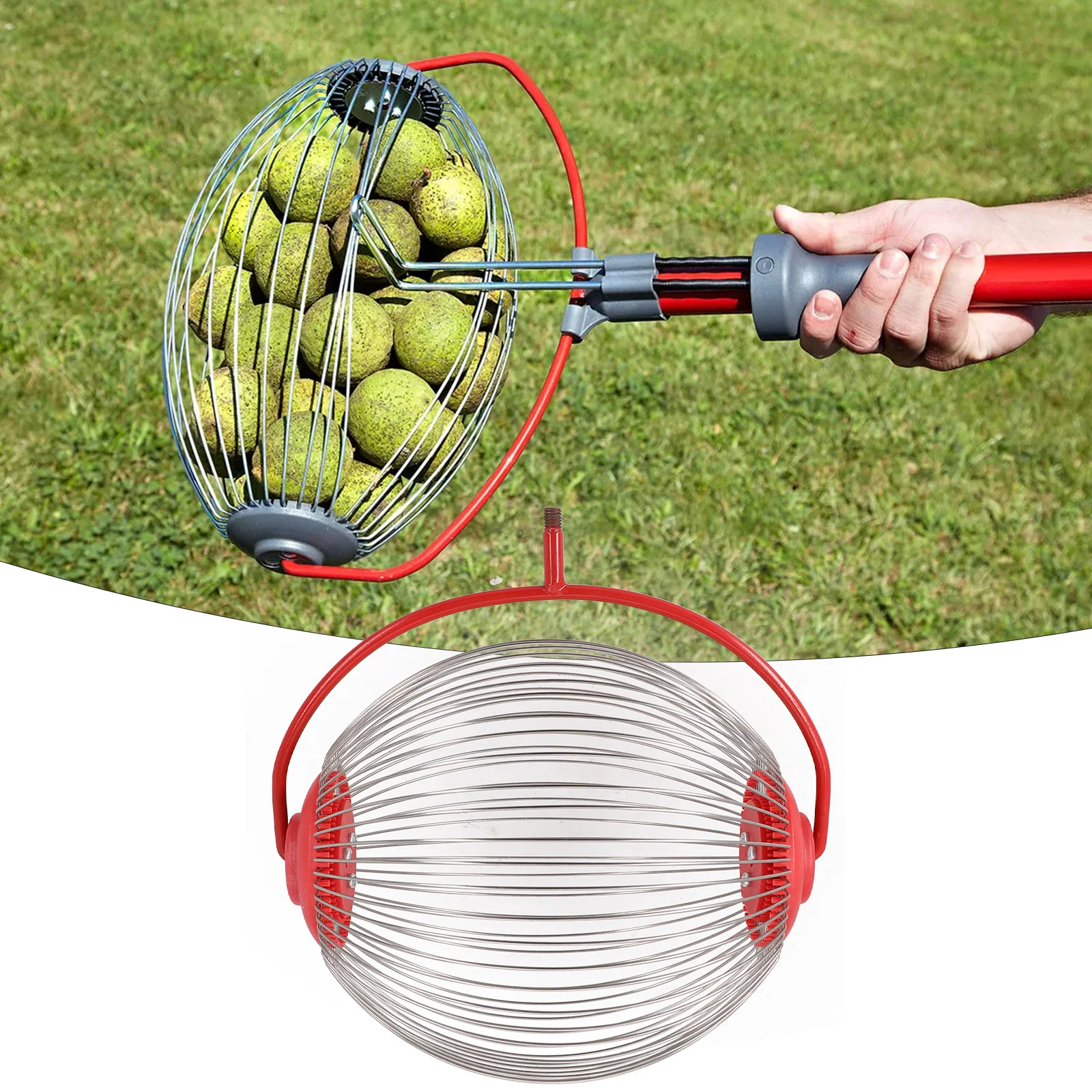Fruit Picker Harvester Roller Storage Ball Aluminum Alloy Orchard Retractable Nut Collector Picker For Walnut Chestnut Orange
Fruit Picker Harvester Roller Storage Ball Aluminum Alloy Orchard Retractable Nut Collector Picker For Walnut Chestnut Orange