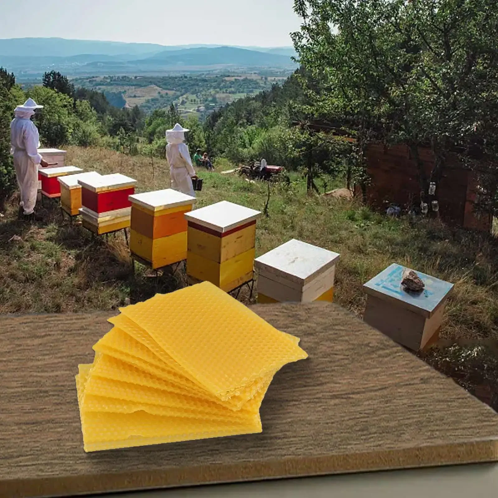 30pc Foundation Bee Hive Wax Frames, Premium Beeswax Material, Essential Equipment For Beekeepers, Supports Honey Extraction
30pc Foundation Bee Hive Wax Frames, Premium Beeswax Material, Essential Equipment For Beekeepers, Supports Honey Extraction