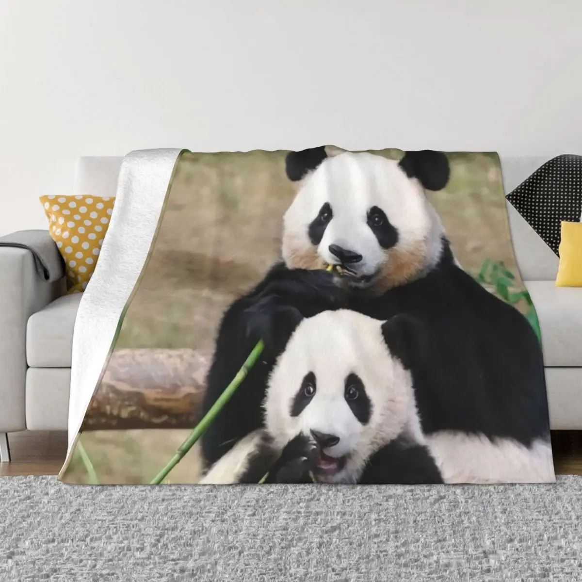 Fu Bao Fubao Panda Animal Blanket Plaid Flannel Fleece Throw Blankets for Durable Long-Lasting Room Decor
Fu Bao Fubao Panda Animal Blanket Plaid Flannel Fleece Throw Blankets for Durable Long-Lasting Room Decor