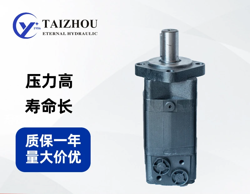 

OMS125/160/200 Drilling Rig Cycloidal Hydraulic Oil Motor Hydraulic Motor