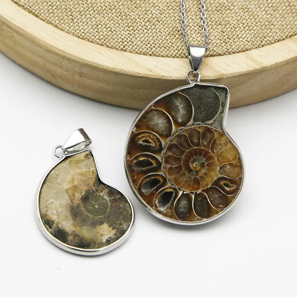 

New Natural Ammonite Shell Snail Pendants Silver Edge Stainless Steel Chain Necklace Conch Jewelry Wholesale 4Pcs Free Shipping