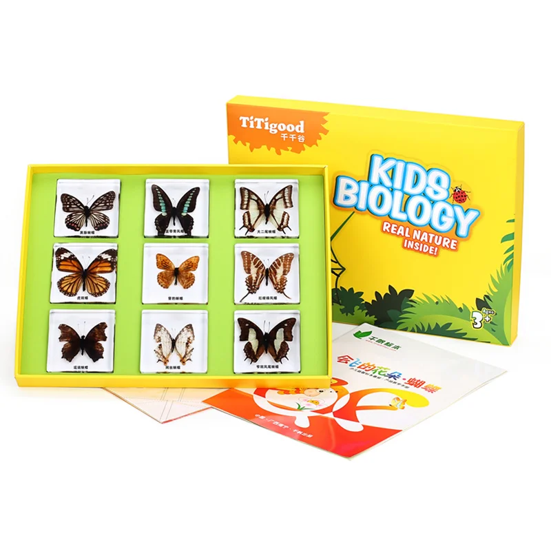 Real insect butterfly specimen resin amber ornament Dragonfly toy aid kindergarten primary school teaching collection gift
Real insect butterfly specimen resin amber ornament Dragonfly toy aid kindergarten primary school teaching collection gift