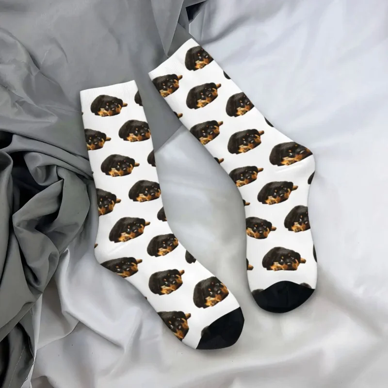 Fashion Men's Socks Casual Rottweiler Cutest There Is Sock Polyester Dog Lover Skateboard Women Sock Spring Summer Autumn Winter
Fashion Men's Socks Casual Rottweiler Cutest There Is Sock Polyester Dog Lover Skateboard Women Sock Spring Summer Autumn Winter