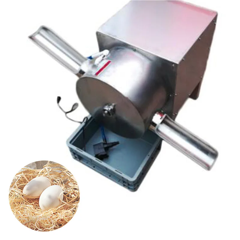 Egg Washer Machine Single Row Duck Egg Washing Maker Goose Egg Cleaning Manufacturer
Egg Washer Machine Single Row Duck Egg Washing Maker Goose Egg Cleaning Manufacturer