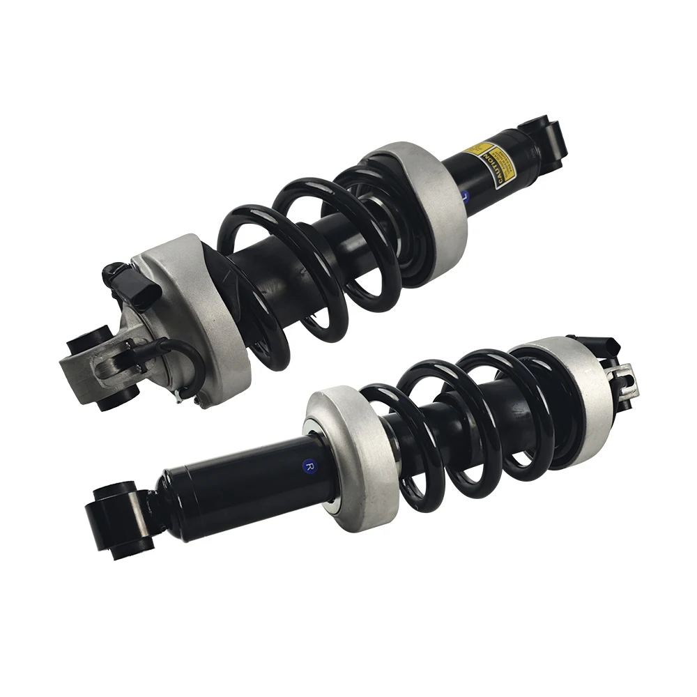 ZOOMKEY Top Selling Auto Parts Car Shock Absorber Front Absorbers For Audi R8 420412020AG
ZOOMKEY Top Selling Auto Parts Car Shock Absorber Front Absorbers For Audi R8 420412020AG