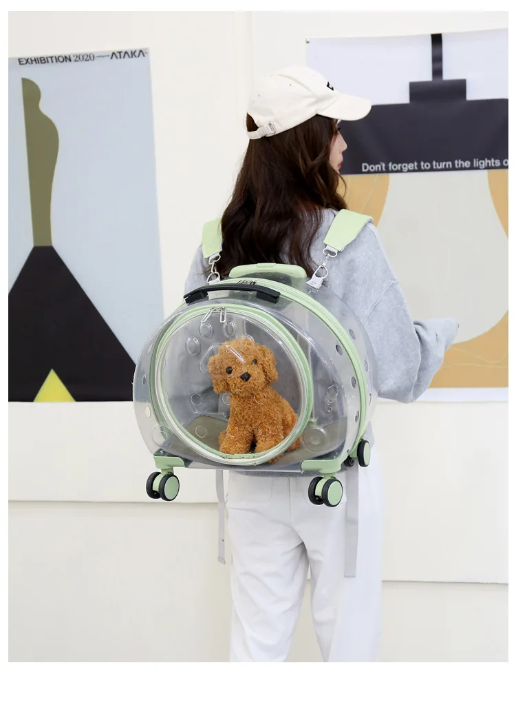 Sbe1705bf4e474a448029fd4247e334b2L