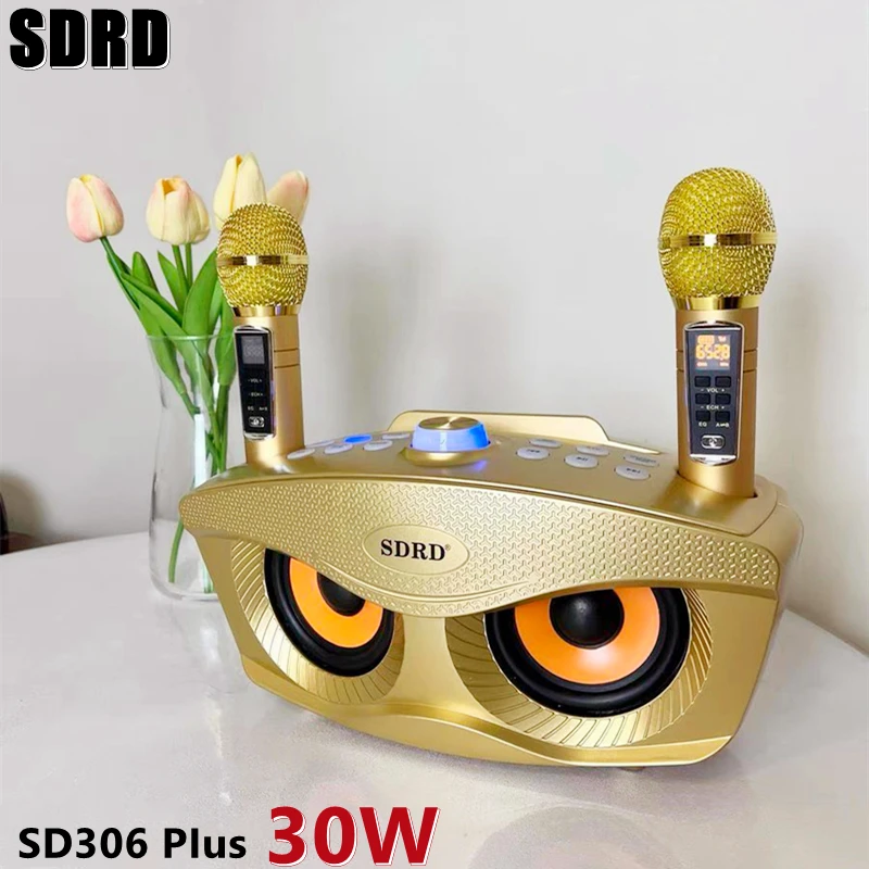 Высококачественный портативный беспроводной динамик KTV SD306 Plus 2 в 1 для караоке, караоке, пения, музыкальный динамик с двойным микрофоном
Высококачественный портативный беспроводной динамик KTV SD306 Plus 2 в 1 для караоке, караоке, пения, музыкальный динамик с двойным микрофоном