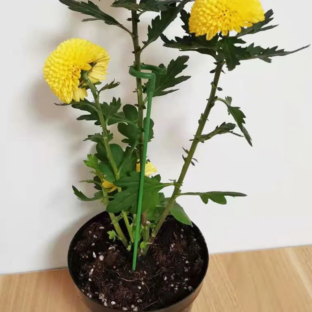 10pcs Plastic Plant Supports Flower Stand Anti-Lodging Leaf Bracket Reusable Protection Fixing Tool Gardening Supplies Vegetable
10pcs Plastic Plant Supports Flower Stand Anti-Lodging Leaf Bracket Reusable Protection Fixing Tool Gardening Supplies Vegetable