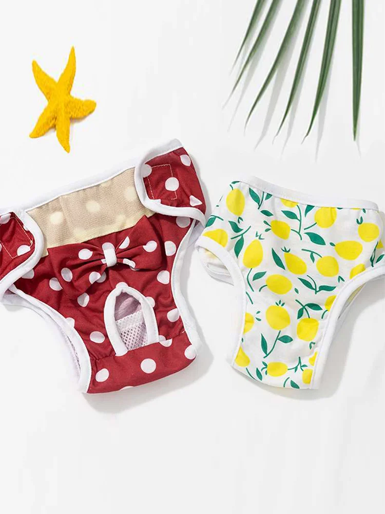 Pet Physiological Pants Dog Menstrual Pants Cute Pet Princess Panties Pet Diaper Dog Breathable Bow Dog Clothes Elasticity Pants Pet Physiological Pants Dog Menstrual Pants Cute Pet Princess Panties Pet Diaper Dog Breathable Bow Dog Clothes Elasticity Pants