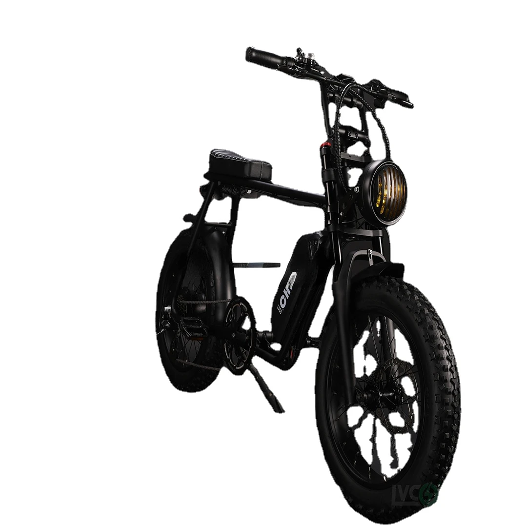 Lvco Top Fashion Two Motor 20Ah 2000W Europe 2 Person Super Electric Bike Frame 73
Lvco Top Fashion Two Motor 20Ah 2000W Europe 2 Person Super Electric Bike Frame 73