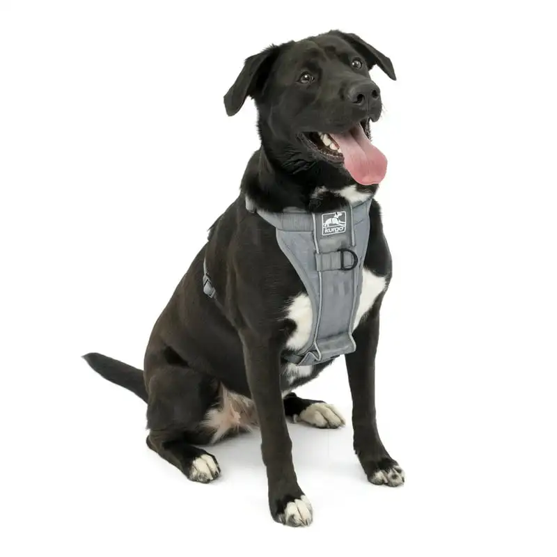 

Smart Harness - QR, Grey, L Dog bow Dog bow tie Hair bow supplies Half hamock dog Christmas dog bow tie Dog bandanas bulk акс
