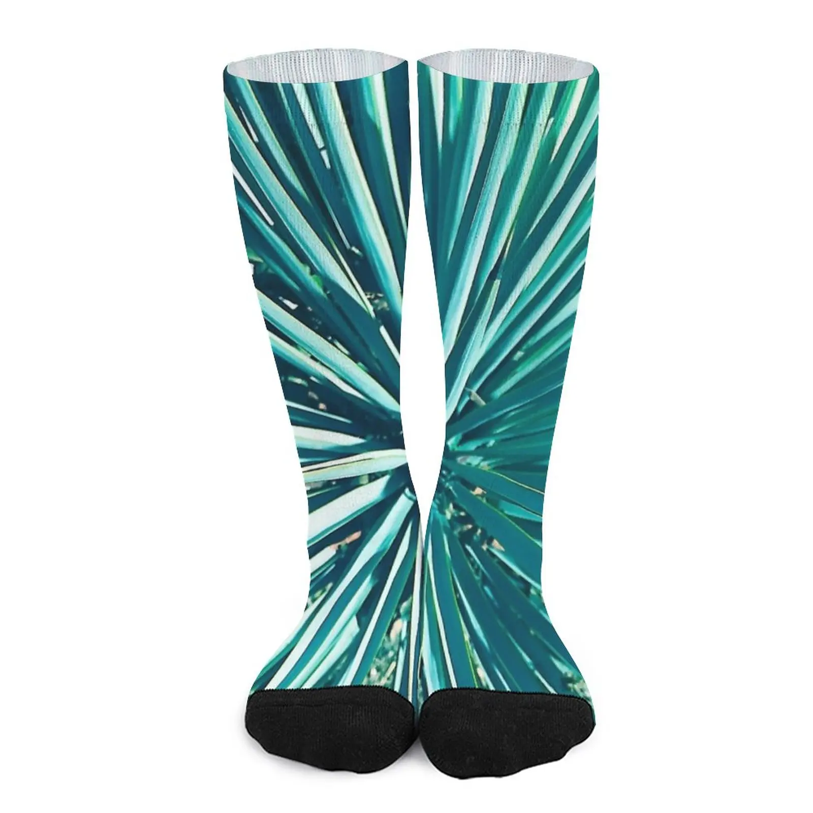 

Exotic Aqua Green Succulent Cactus Art Photo Socks valentine gift ideas Socks for men set sport socks hockey