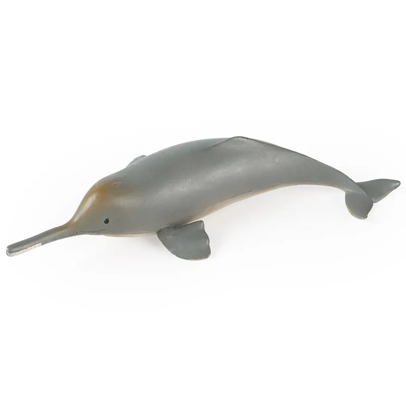 

Children's Early Education Cognitive Toy Simulation Marine Animal Model Hengfugu Dolphin Marine Animal Plastic Ornaments