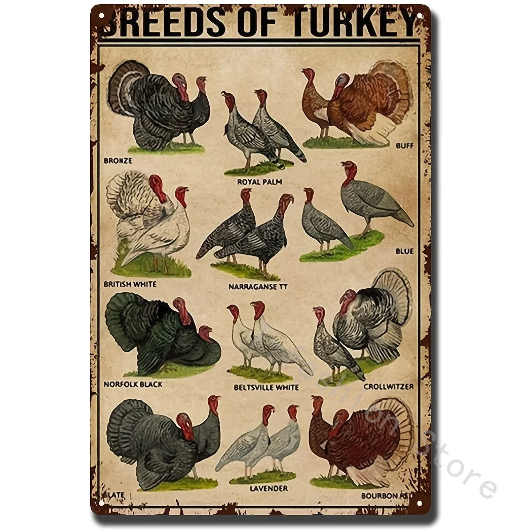 B Breeds Of Turkey Poster Turkey Knowledge Poster Turkey Types Poster Types Of Turkey Poster Turkey Lover Poster Turkey Wall De
B Breeds Of Turkey Poster Turkey Knowledge Poster Turkey Types Poster Types Of Turkey Poster Turkey Lover Poster Turkey Wall De