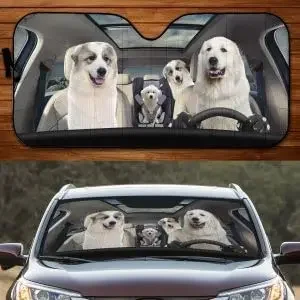 funny chick couple driving car sunshade car windshield durable sun visor funny rooster driving car sunshade
funny chick couple driving car sunshade car windshield durable sun visor funny rooster driving car sunshade