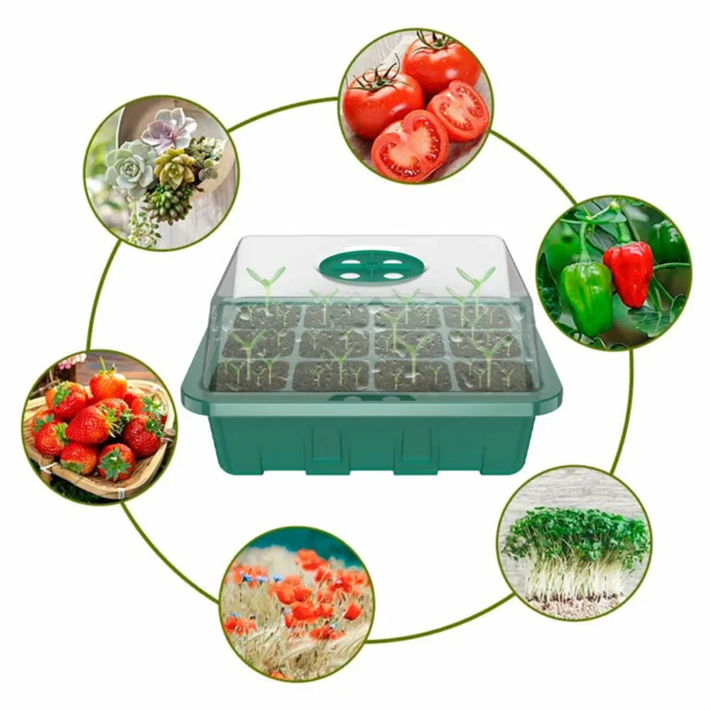 4x Mini Greenhouse 12 Compartments - Indoor Greenhouse Propagation Greenhouse Green Plant Water Culture Automatic Water
4x Mini Greenhouse 12 Compartments - Indoor Greenhouse Propagation Greenhouse Green Plant Water Culture Automatic Water