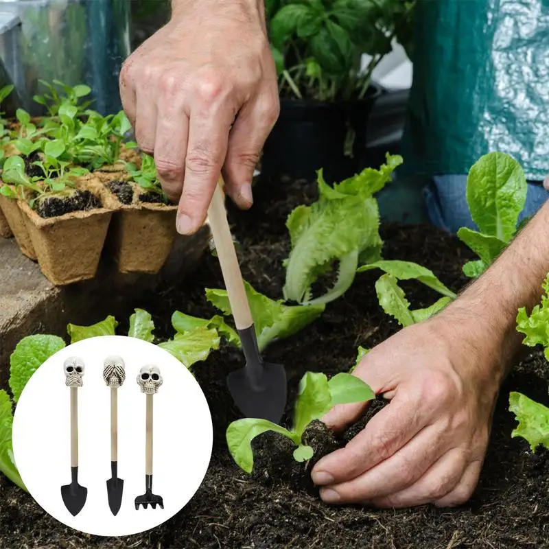 Succulent Shovel Rake Set Of 3 Flower Pots Cultivation Necessities Eye-Catching Gardening Shovels For Aloe Orchids Daisy Cactus
Succulent Shovel Rake Set Of 3 Flower Pots Cultivation Necessities Eye-Catching Gardening Shovels For Aloe Orchids Daisy Cactus