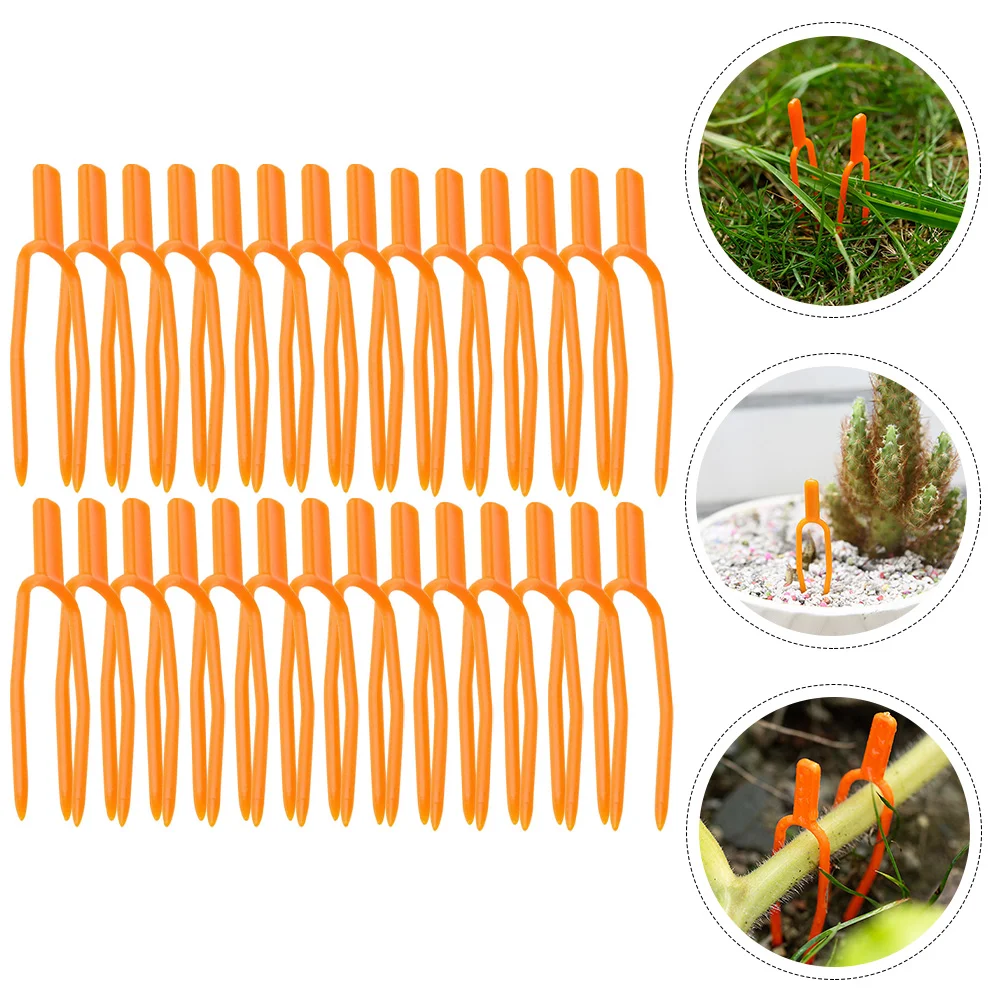 200 Pcs Plant Clips Reusable Vine Fixing Orchid Wall Fixture for Plants Pp Clamps Climbing Fixed Fastening Vines Press
200 Pcs Plant Clips Reusable Vine Fixing Orchid Wall Fixture for Plants Pp Clamps Climbing Fixed Fastening Vines Press