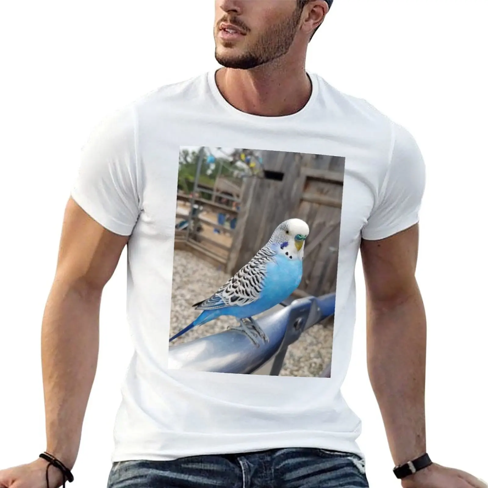 Blue & White Parakeet Sitting T-shirt blacks tees sweat vintage clothes sweat shirts, men
Blue & White Parakeet Sitting T-shirt blacks tees sweat vintage clothes sweat shirts, men