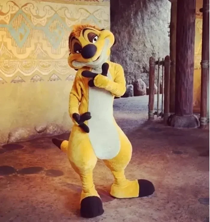

Lion King Simba Timon Warthog Pumbaa Cartoon character costume Mascot Advertis Fancy Dress Party Animal carnival Celebration