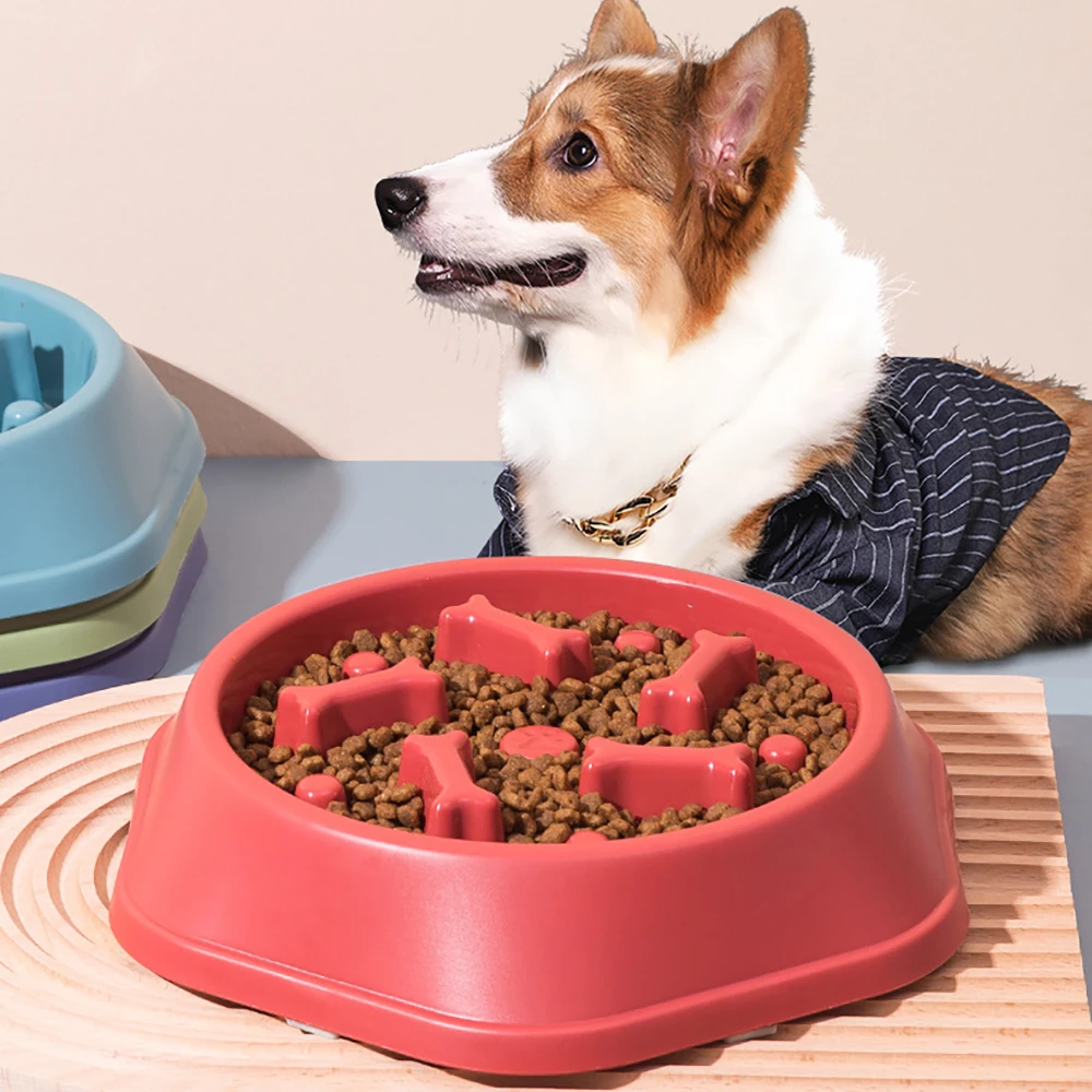Dog Slow Feeder Bowl Non-Slip Pet Cat Dog Slow Food Bowl Fat Help Healthy Round Anti-Choking Slow Eating Pet Food Container
Dog Slow Feeder Bowl Non-Slip Pet Cat Dog Slow Food Bowl Fat Help Healthy Round Anti-Choking Slow Eating Pet Food Container