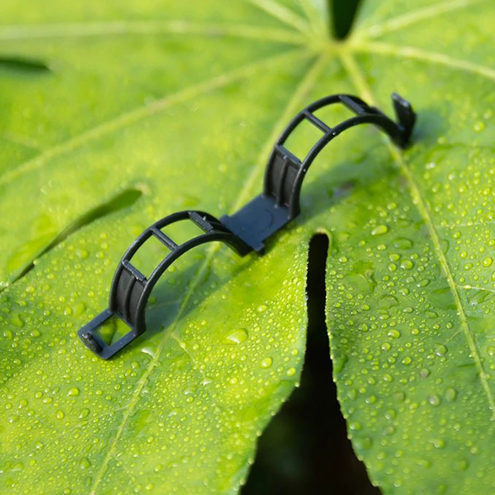 Plant Support Garden Clips Tomato Vine Clips Tomato Trellis Clips For Vine Vegetables Tomato To Grow Upright Plants Healthier
Plant Support Garden Clips Tomato Vine Clips Tomato Trellis Clips For Vine Vegetables Tomato To Grow Upright Plants Healthier