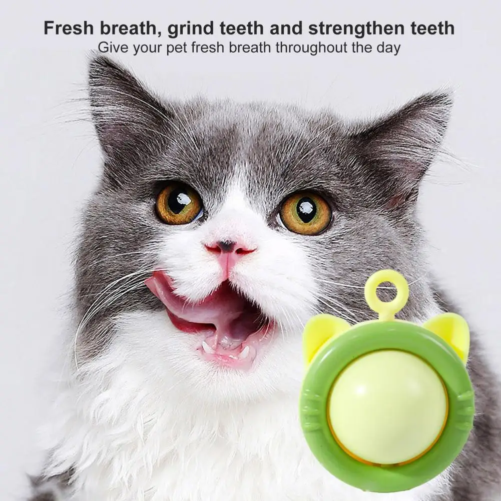 Cartoon Cat Toy Wall-mounted Cat Licking Toy with Replaceable Catnip Ball for Oral Health Teeth Sticky Back Rotary Design Wall
Cartoon Cat Toy Wall-mounted Cat Licking Toy with Replaceable Catnip Ball for Oral Health Teeth Sticky Back Rotary Design Wall