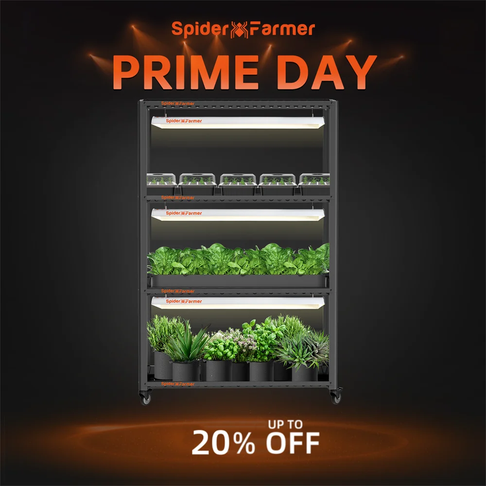 Spider Farmer SF600 Growshelves LED Grow Light 3-Layer W/Metal Stand Trays for Indoor Veg Bloom Flower Plants Hydroponics
Spider Farmer SF600 Growshelves LED Grow Light 3-Layer W/Metal Stand Trays for Indoor Veg Bloom Flower Plants Hydroponics