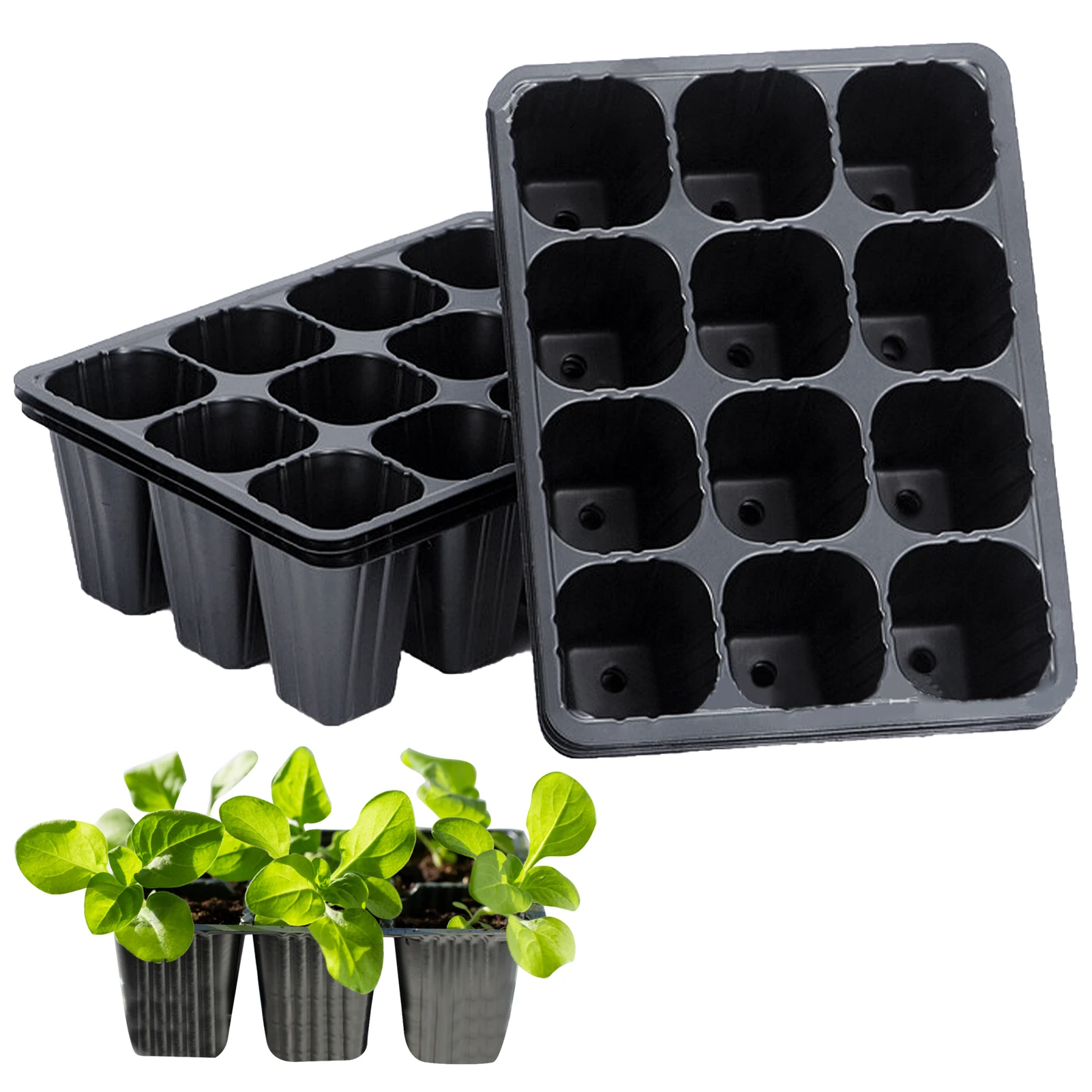 10pcs Nursery Tray Germination Propagation 12 Cells Container Home Cavity Vegetable Succulent Plant Garden Insert Seedling
10pcs Nursery Tray Germination Propagation 12 Cells Container Home Cavity Vegetable Succulent Plant Garden Insert Seedling