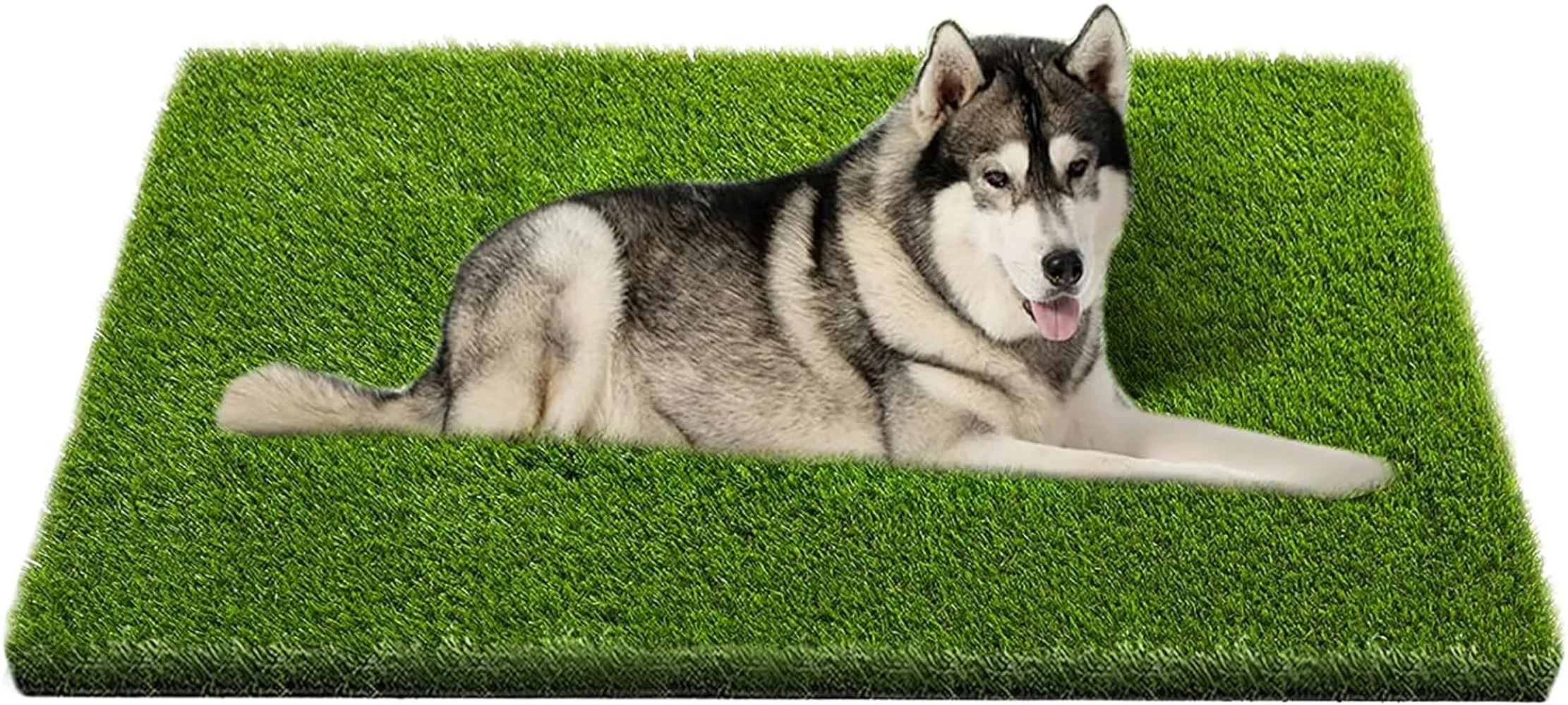 Artificial Grass, Professional Dog Grass Mat, Potty Training Rug and Replacement Artificial Grass Turf, Large Turf Outdoor Rug
Artificial Grass, Professional Dog Grass Mat, Potty Training Rug and Replacement Artificial Grass Turf, Large Turf Outdoor Rug
