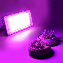 Full Spectrum LED Grow Light With Stand AC220V Phyto Lamp With On/Off Switch For Greenhouse Hydroponic Plant Growth Lighting
Full Spectrum LED Grow Light With Stand AC220V Phyto Lamp With On/Off Switch For Greenhouse Hydroponic Plant Growth Lighting