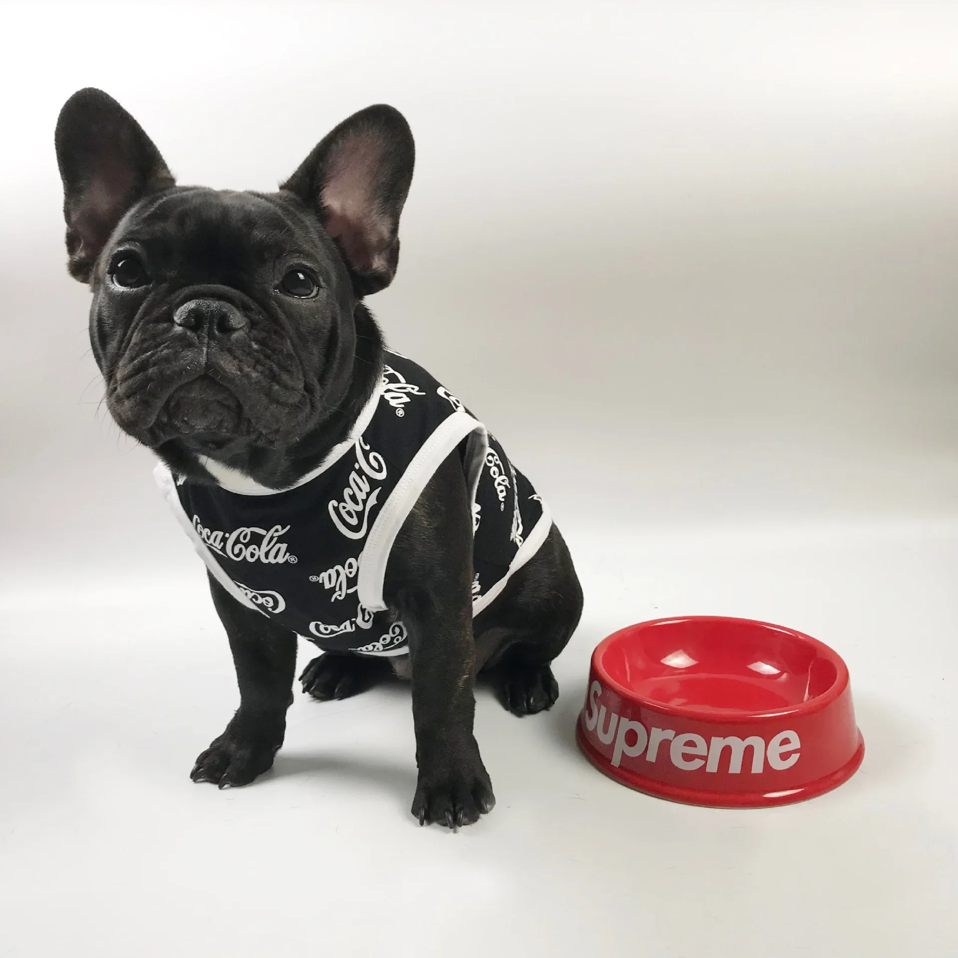 Puppies Accessories Cat Spring Summer Short Sleeved T-shirts Knitted Vest Dog Teddy Breathable Clothing
Puppies Accessories Cat Spring Summer Short Sleeved T-shirts Knitted Vest Dog Teddy Breathable Clothing