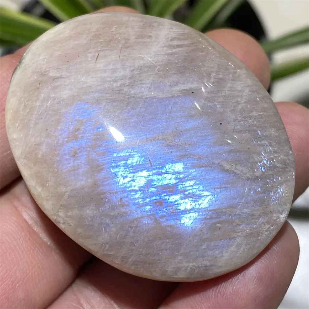 

Moonstone Natural Stones And Crystal Palm Blue Light Feldspar Golden Hecatolite Mineral Samples Specimen Home Decor