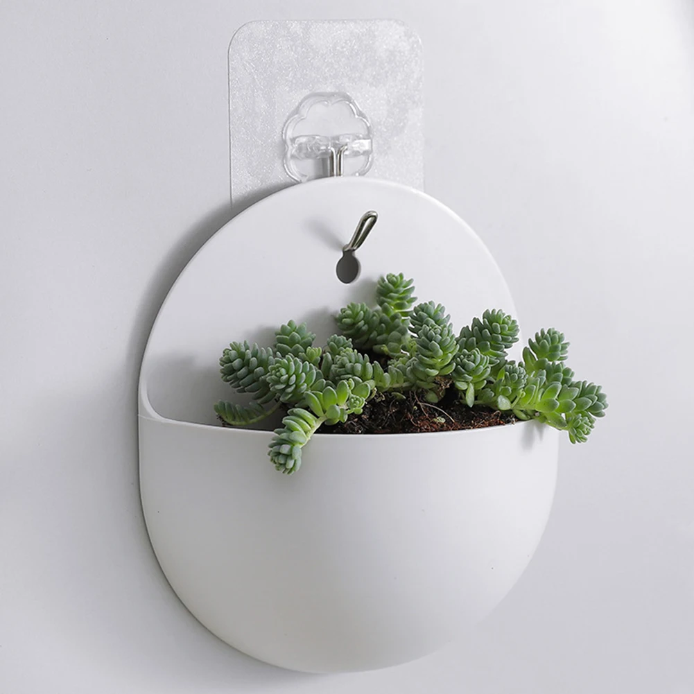 Wall Mounted Hydroponic Flower Pot Wall Hanging Vase PP Home Wall Decoration Green Dill Potted Plant With Hook Transparent Vase
Wall Mounted Hydroponic Flower Pot Wall Hanging Vase PP Home Wall Decoration Green Dill Potted Plant With Hook Transparent Vase